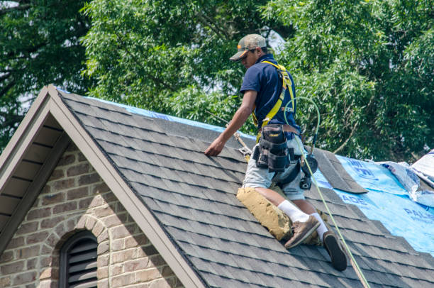 Trusted Berwyn, IL Roofing Contractor Experts